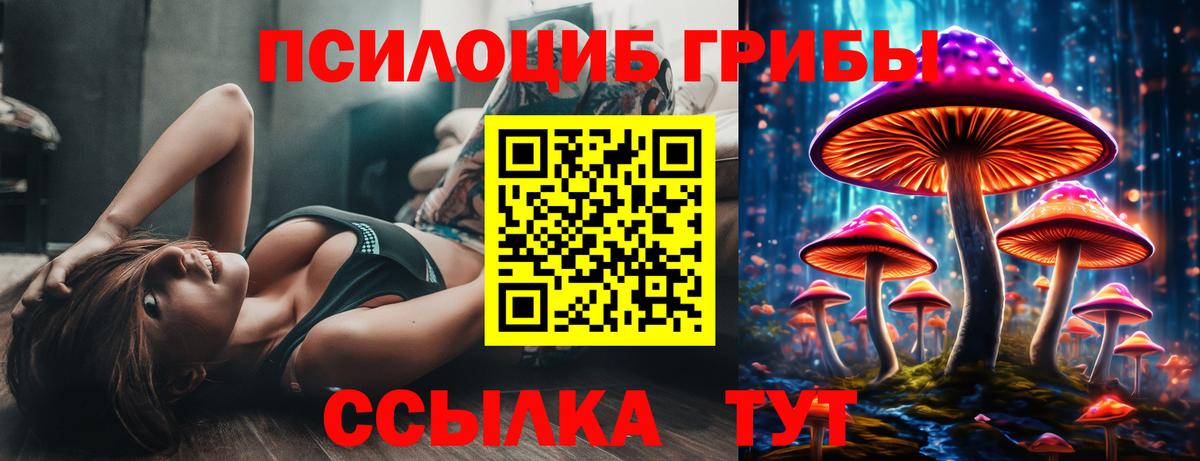 где купить наркотик  Галлюциногенные грибы Magic Shrooms  Вход с VPN  Псилоцибиновые грибы Psilocybe  Ейск 