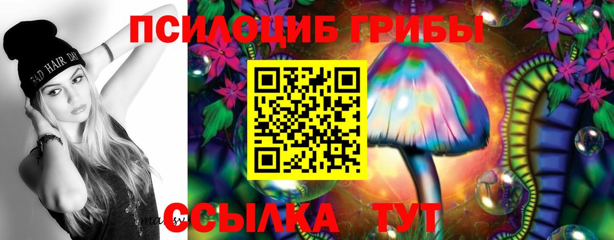 Галлюциногенные грибы GOLDEN TEACHER Ейск