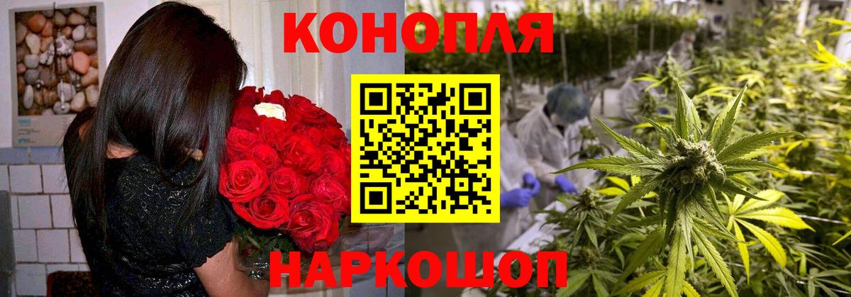 Марихуана планчик  Вход с VPN  МАРИХУАНА гибрид  Ейск 